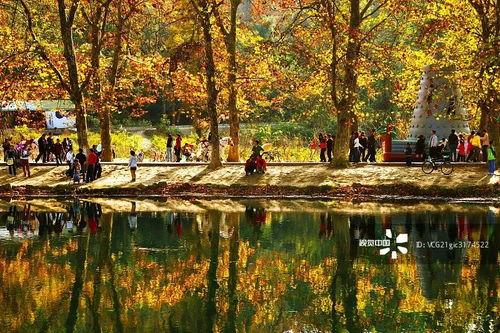 花溪花果园爆料事件视频,视频揭露惊人真相  第3张